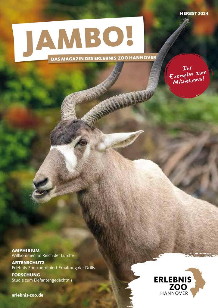 Jambo! Cover