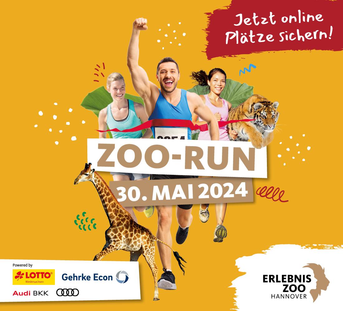 Zoo Run 2024