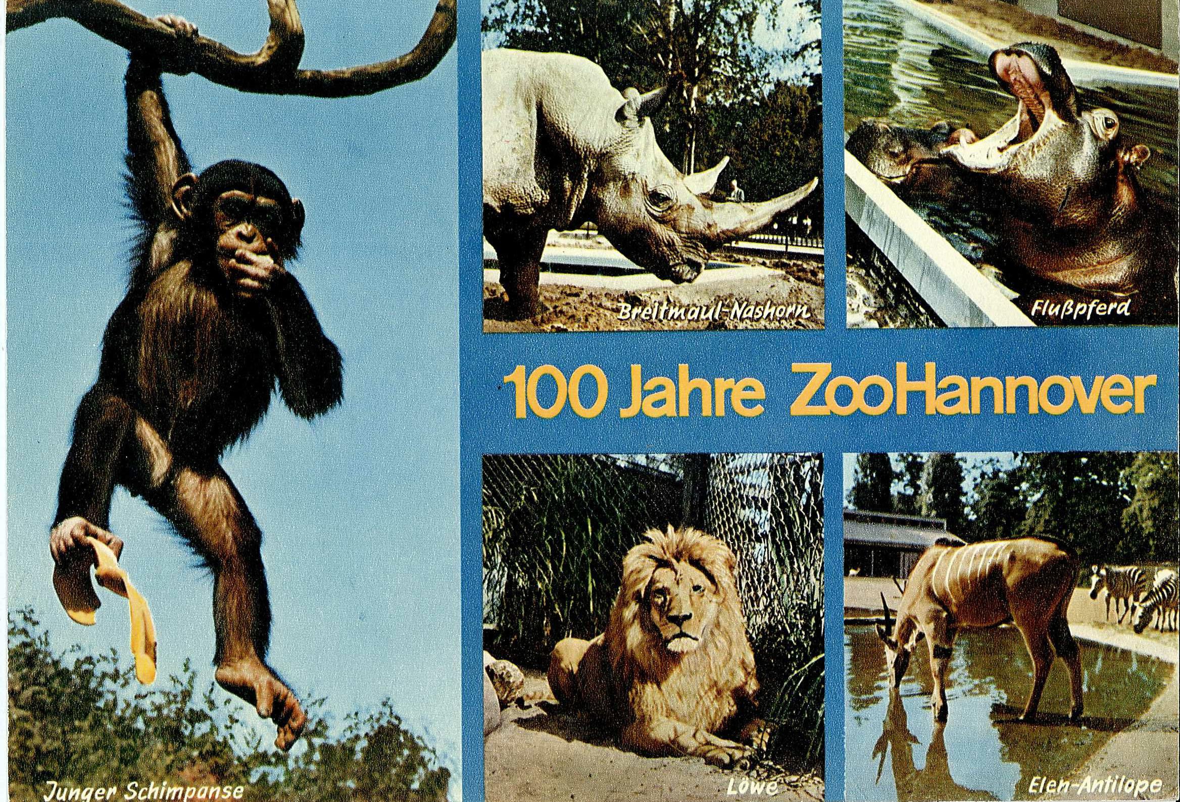 Postkarte 100 Jahre Zoo