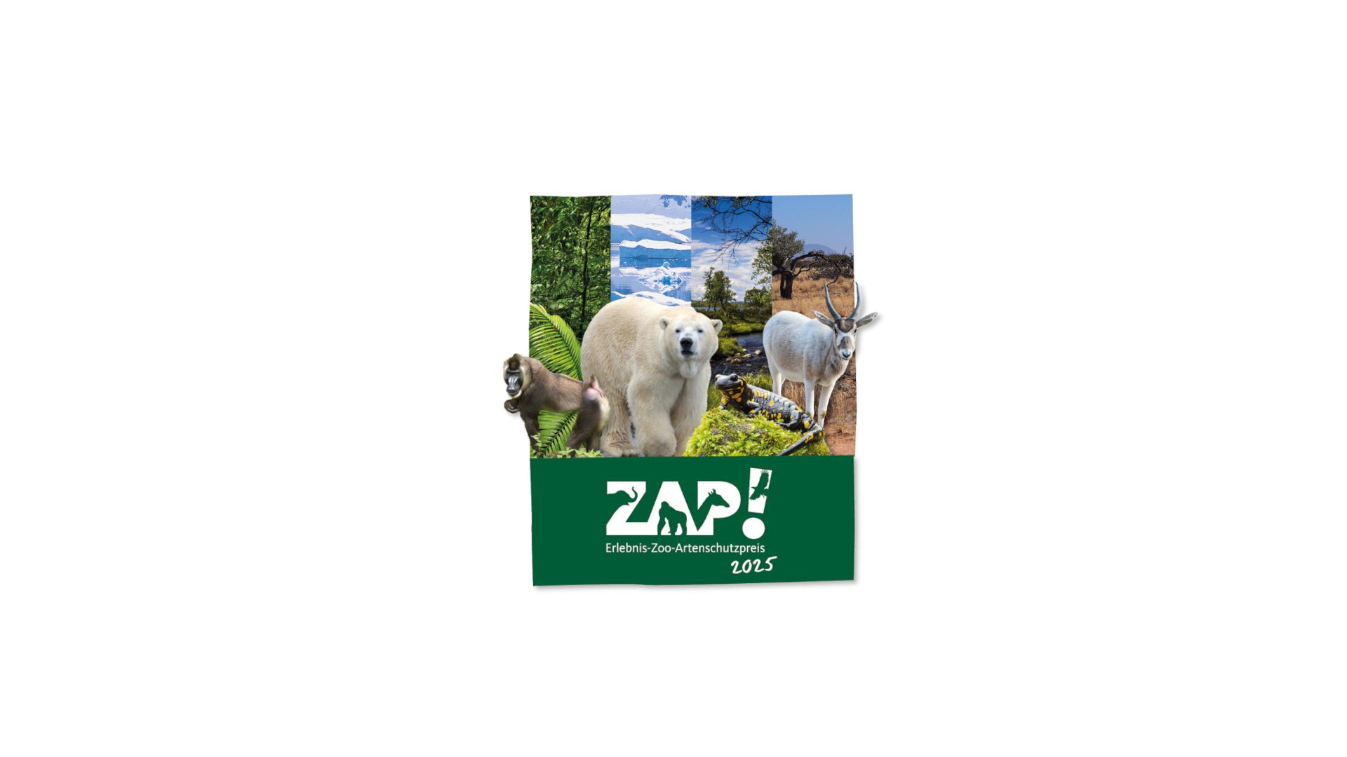 ZAP! Logo