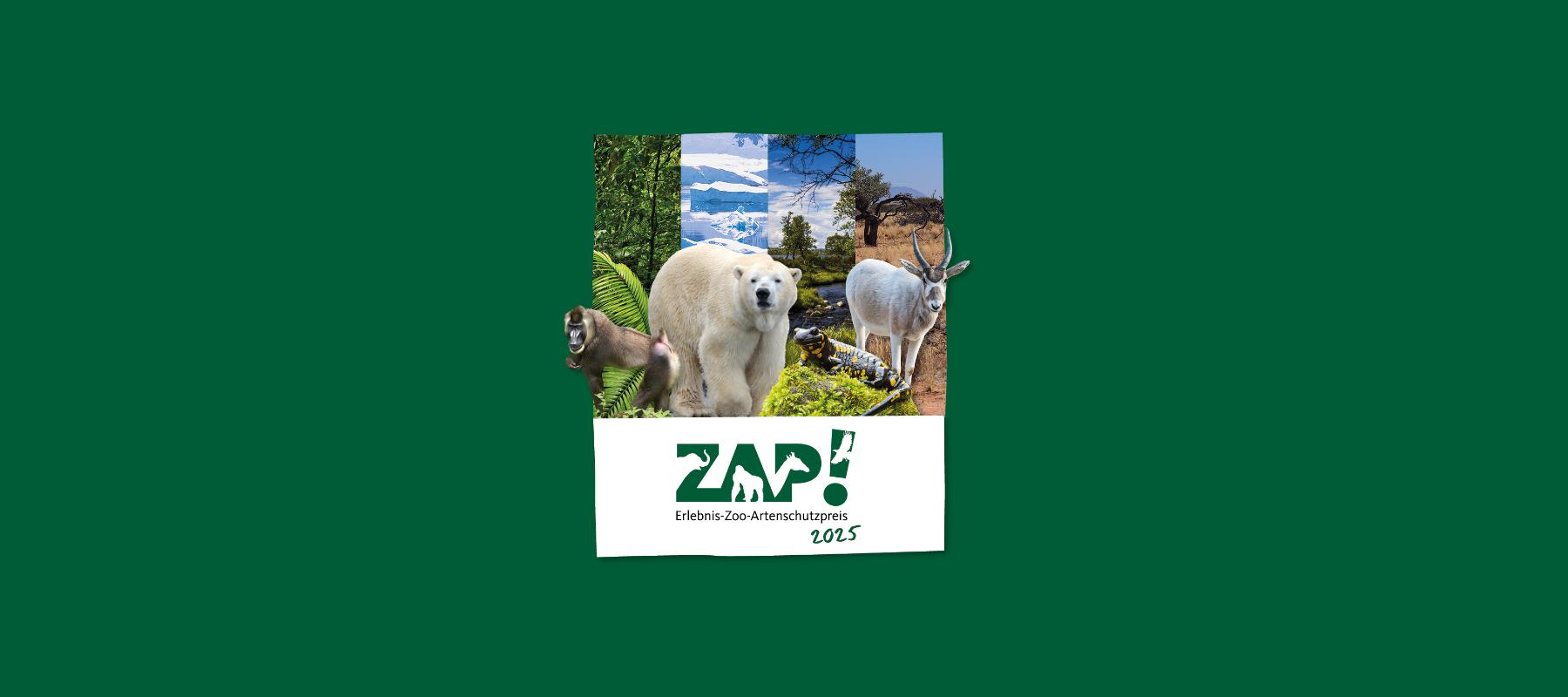 Logo ZAP! 2025